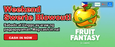 Fast Payouts and Easy Login! banner
